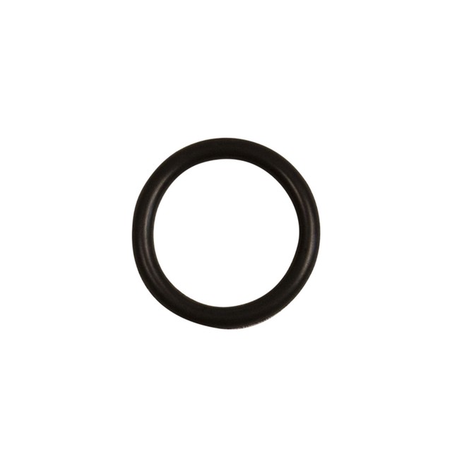 Chapin Replacement ORing (68115) Replacement O ring for any Chapin