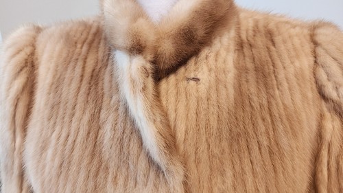 WOMENS BEIGE REAL MINK FUR RIBBED, WAIST JACKET SIZE MED/L? - Picture 3 of 14