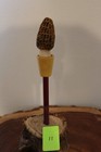 Custom Made Whitetail Deer Antler Morel Turkey Round Tip Pot Striker — photo 2