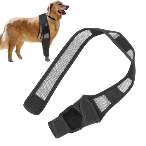 Pet Puppy Knee Pads Dog Leg Knee Brace Straps Adjustable Dogs Support Belt - Picture 2 of 19
