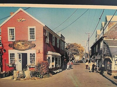 Postcard Bear Skin Neck Street View in Rockport, MA    U7
