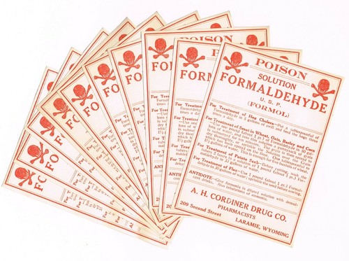 10 GROSSHANDEL APOTHEKE MEDIZIN FLASCHENETIKETT VINTAGE SCHÄDEL GEKREUZTE KNOCHEN GROSSE GRÖSSE - Bild 1 von 2