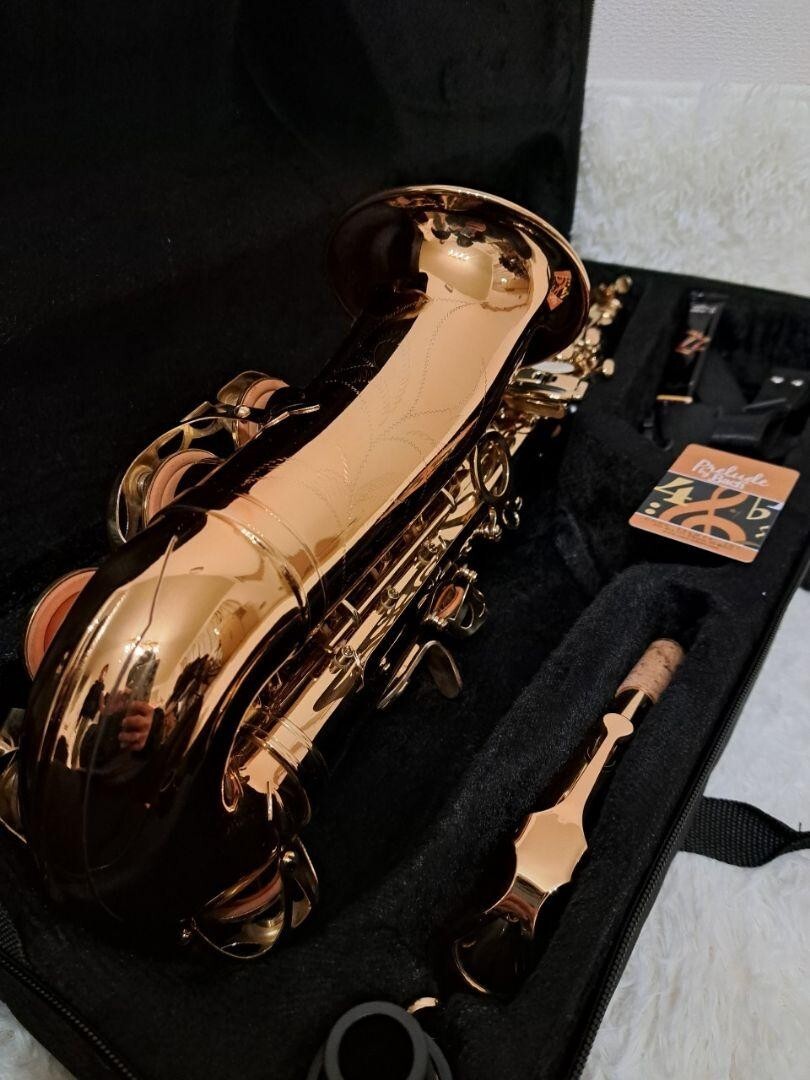 Prelude by conn-selmer AS-710 Alto Saxophone | eBay Prelude by conn-selmer AS-710 Alto Saxophone | eBay