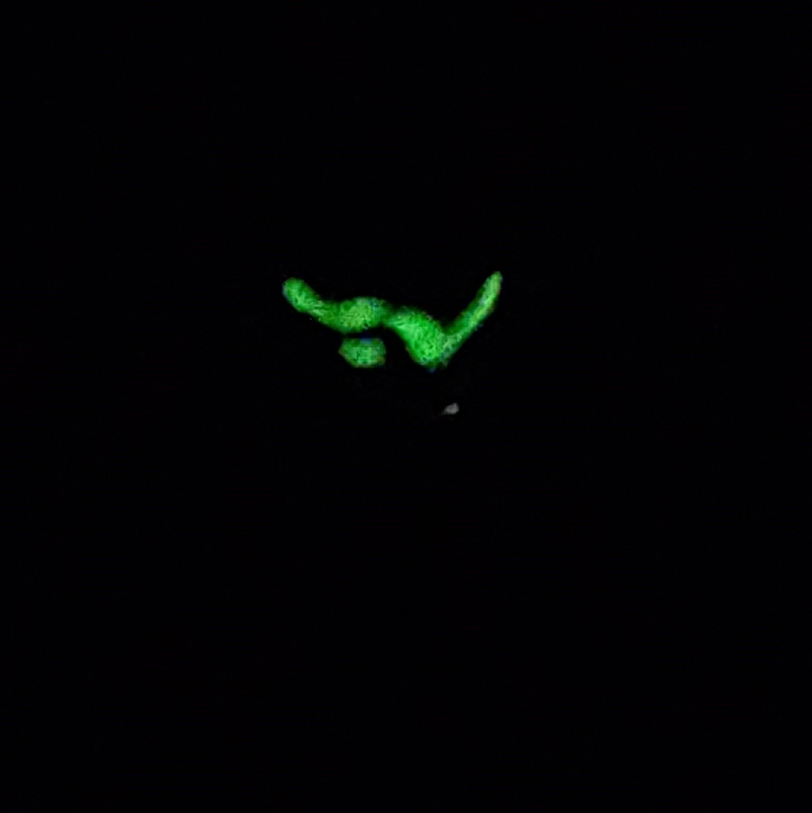 Picture 2 of 5