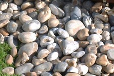Pembroke pebbles for garden borders, ponds, perimeters- Builders Bulk Bag 850KG