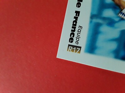 Carte Panini Officielle Eric Cantona France 1996 N°R14 - Édition Rare Et Originale