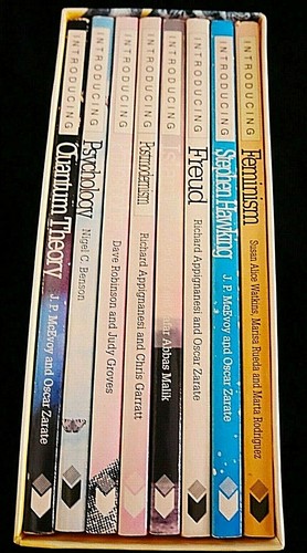 INTRODUCING FREUD FEMINISM ISLAM PHILOSOPHY POSTMODERNISM PSYCHOLOGY 8 BOOK SET - Bild 3 von 8