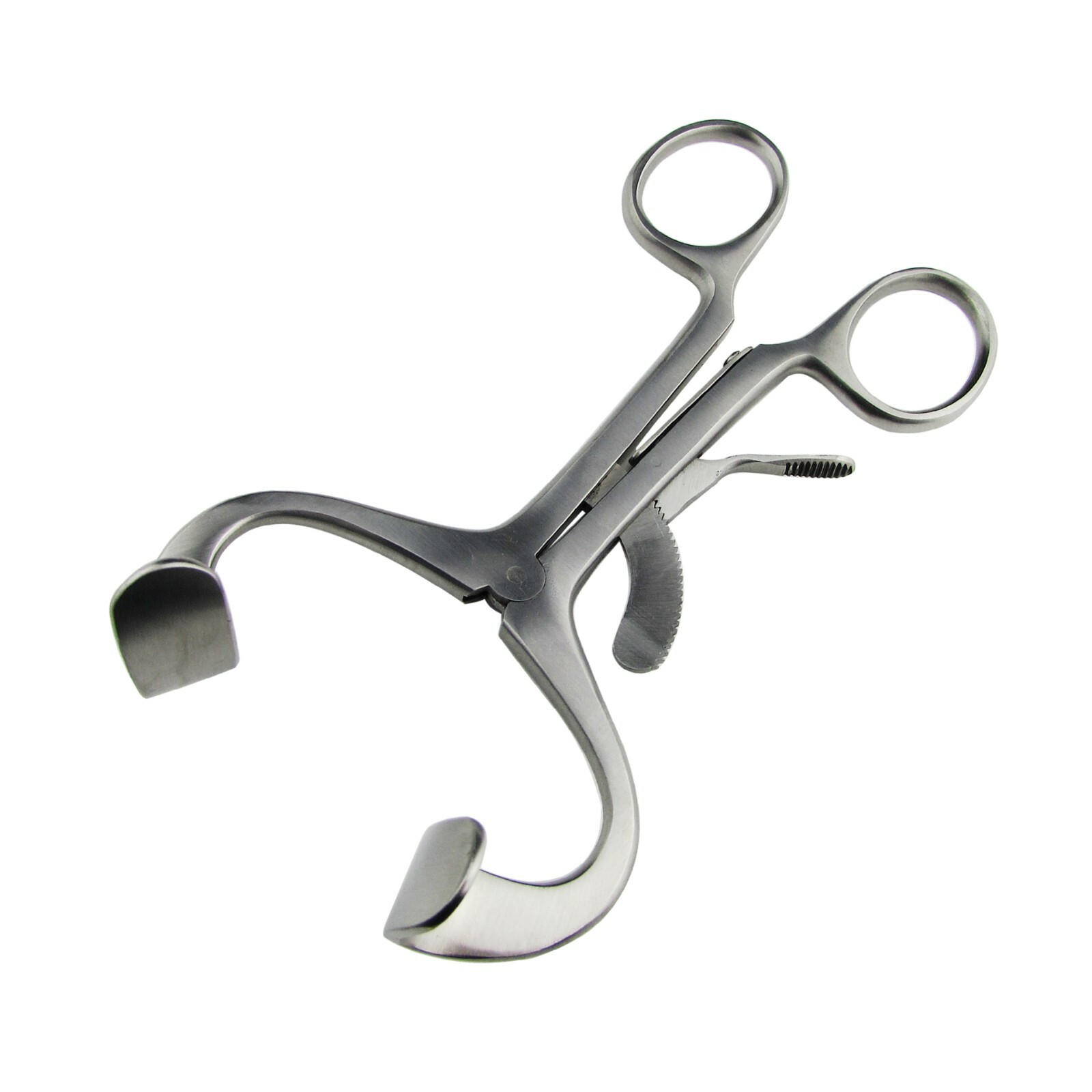 Surgical Veterinary Instruments Molt Mouth Gags Tissue Retractor Oral