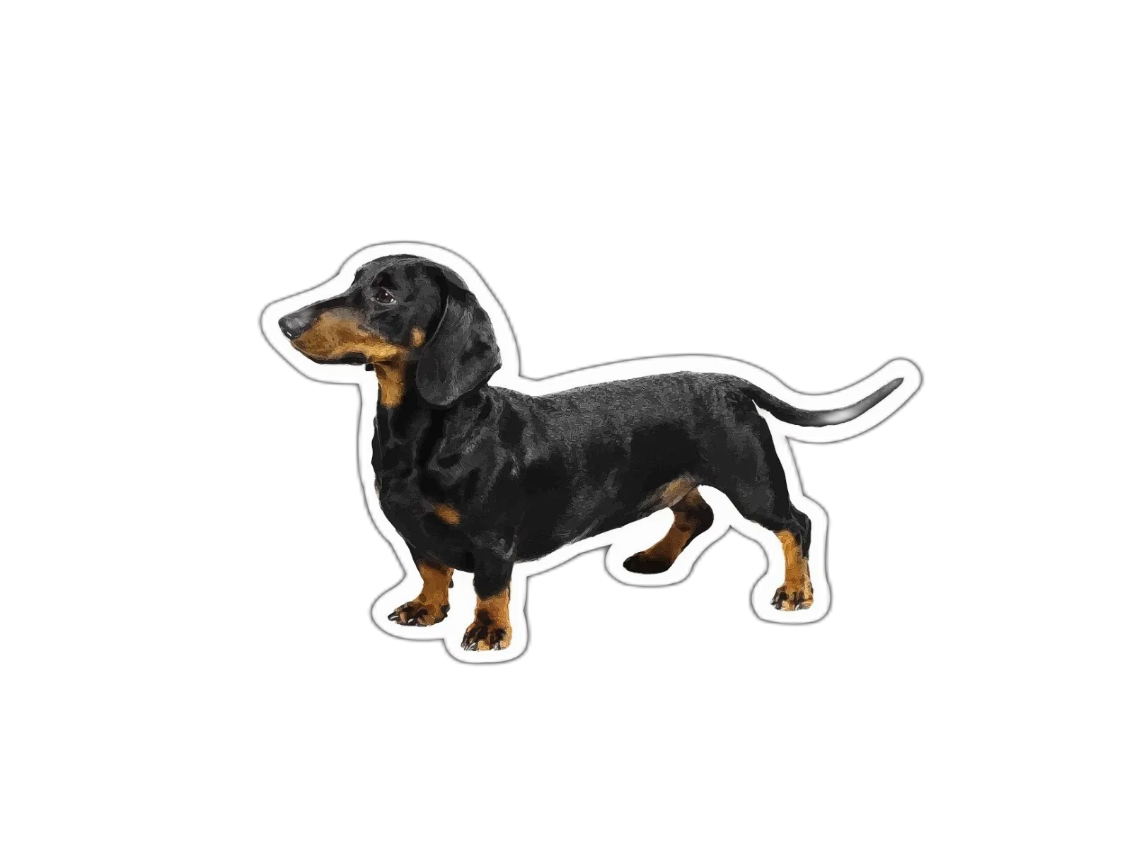 Dachshund Dog Sticker Decal