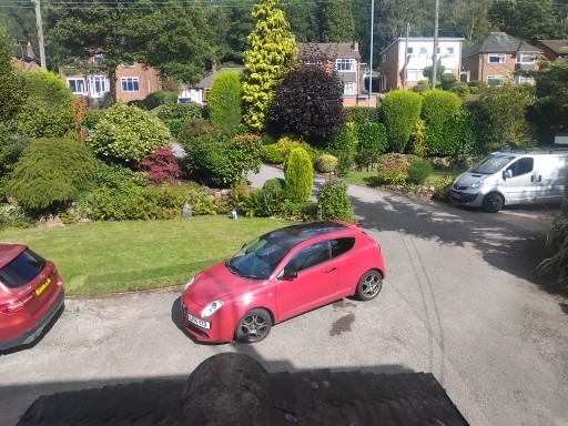Alfa Romeo, MITO, rare LIVE edition , 2014, 875 (cc) twin air, recent MOT
