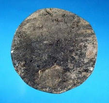 Very Fine Authentic Kentucky Fox Field Pottery Disc with SCA COA Arrowheads