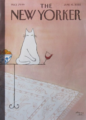 THE NEW YORKER MAGAZINE 100 JUNE 16, 2025 - "Nothing to See"