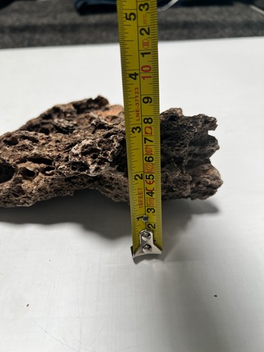 Large Natural Lace Rock / Volcanic Rock– Unique Porous Stones for Aquariums - Picture 8 of 9