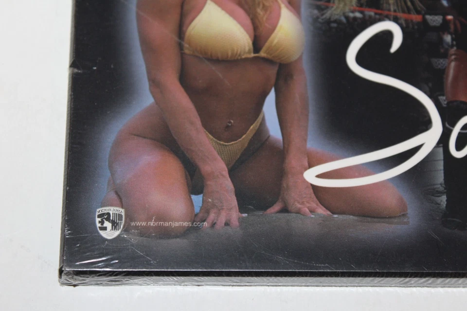 2 未拆封 WWF 黑貂 Norman James Wood 悬挂牌匾海报 10x8 英寸全新无标签 MISP 1990 年代 — 第 4/4 张图片