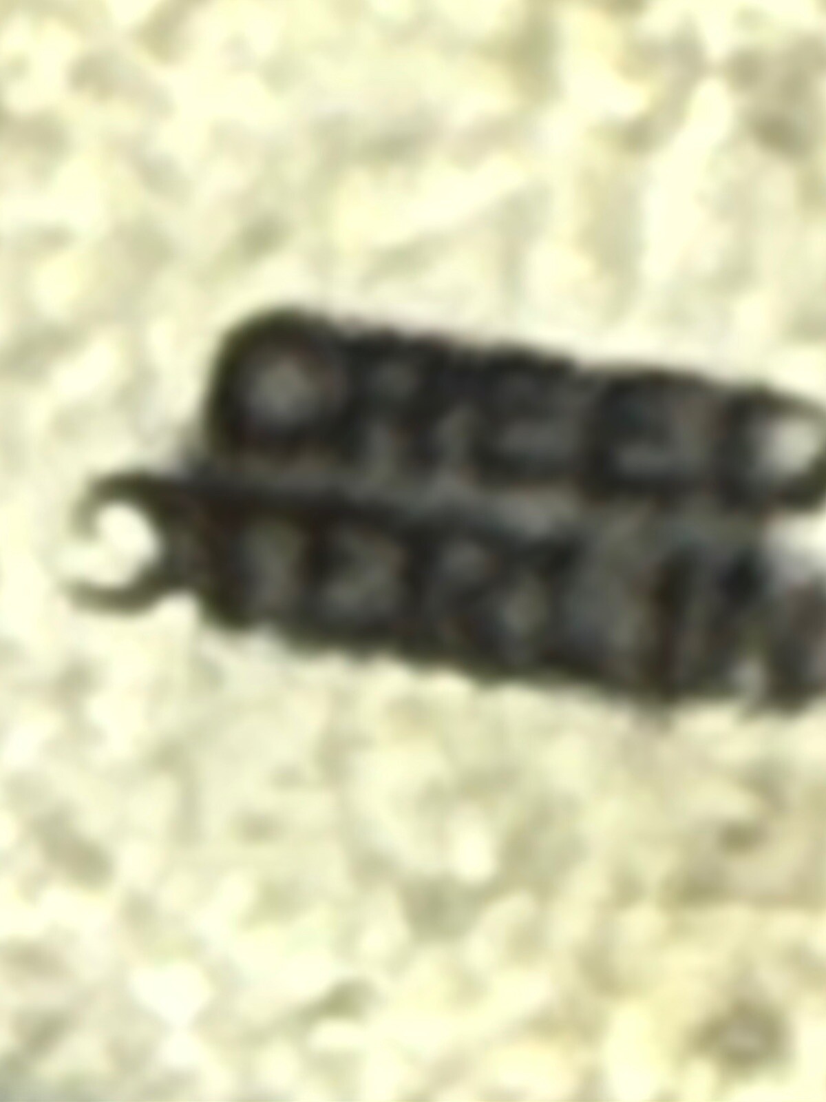 Picture 7 of 7