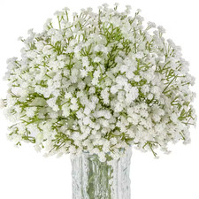 10 Lifelike, 20.5 In. White Artificial Baby'S Breath Flowers Suitable for Weddin