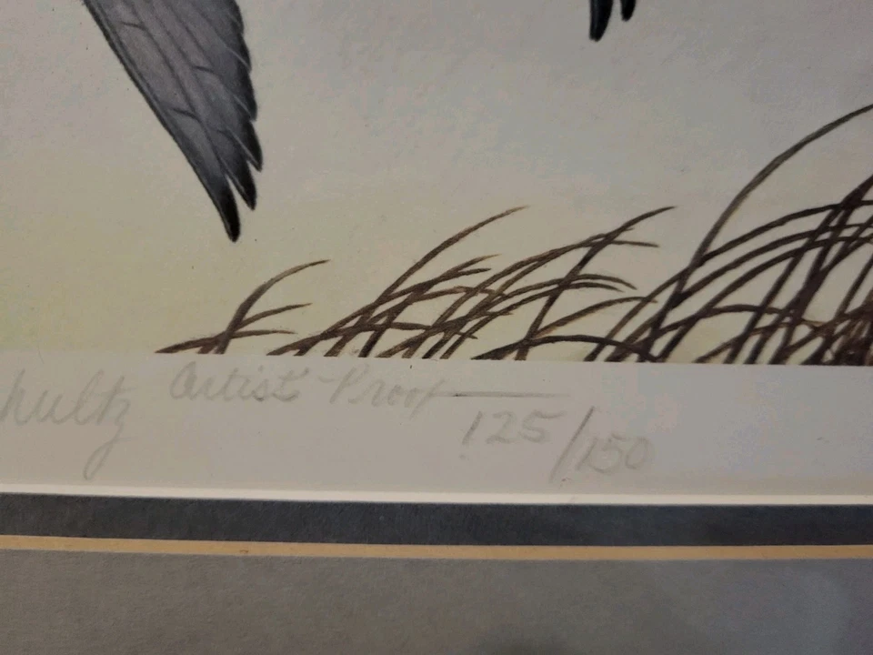 1981 WISCONSIN - State Duck Stamp Print **TIMOTHY SCHULTZ** ARTIST PROOF 125/150 - Image 3 of 4