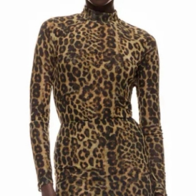Ronny Kobo Leopard PrintMesh Top Size Small