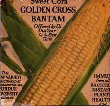 1940s Golden Cross Bantam Sweet Corn Seed Packet Purdue University Indiana