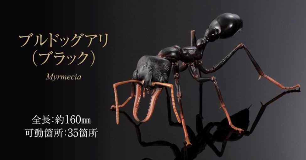Bandai Gashapon Action Figure ADVANCE Bulldog Ant Black 16cm