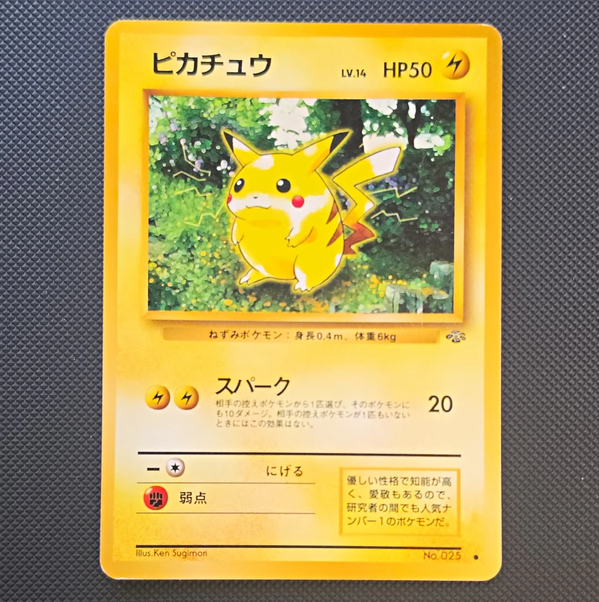 Pikachu Pokémon TCG Jungle Japanese Individual Collectible Card