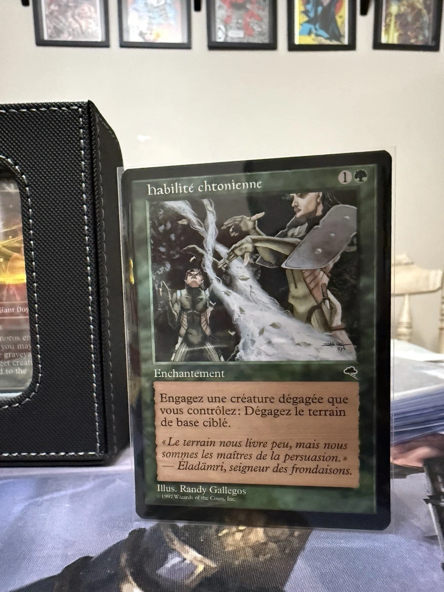 Magic: The Gathering Individual Trading Card Games in French for