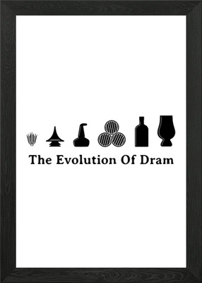 The Evolution of Dram Framed Wall Art Poster Canvas Print Picture