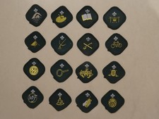 Scout Proficiency Badges (1990s)