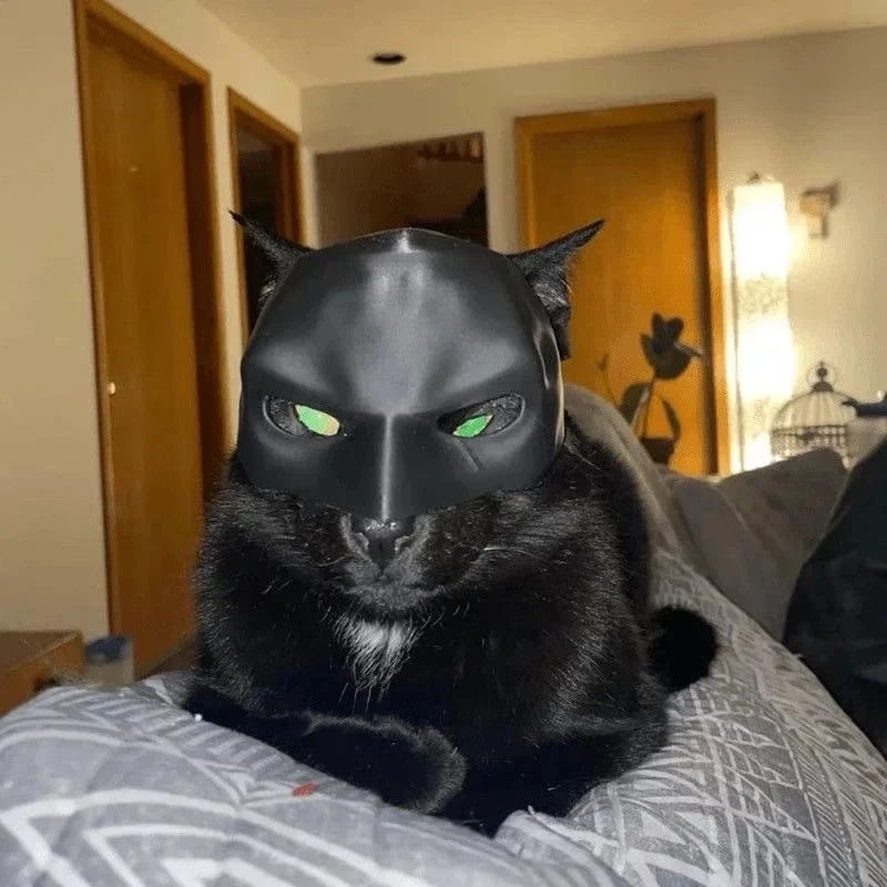 Maschera Gatto Pipistrello Supereroe Cosplay 3D Cappello Accessori Halloween - Immagine 3 di 4