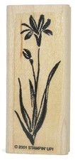Stampin Up Rubber Stamp BRUSHSTROKE LILY FLOWERS PLANT Wood Mount Stamp