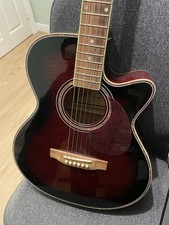 Freshman Electro acoustic Guitar - Fishman Electronics