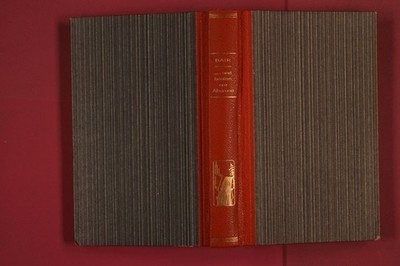 282414 Patrick Bair UND BAUTEN AM ABGRUND Fackel-Buchklub HC