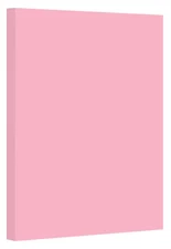Pink Pastel Color Card Stock , 67lb Cover Medium Weight Cardstock, for Arts &...