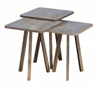 Grauer Holz Couchtisch-Set Modern Elegant