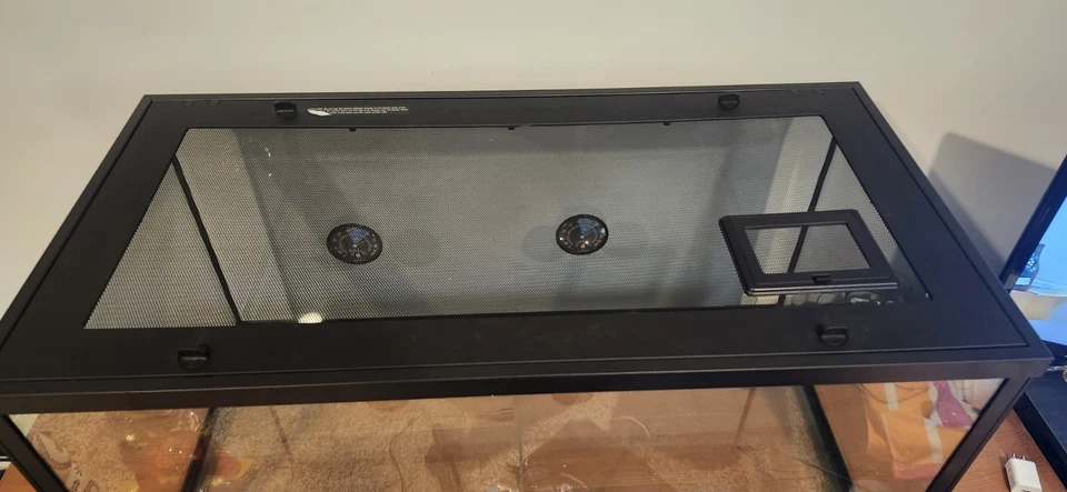 Dragão barbudo adulto novo lar! - Imagem 3 de 4