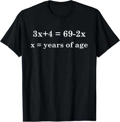 13 Years Old Algebra Equation Funny 13th Birthday T-Shirt