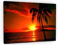 PALM TREE RED SUNSET TROPICAL CANVAS PICTURE PRINT FRAMED WALL ART