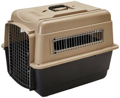 trixie dog transport