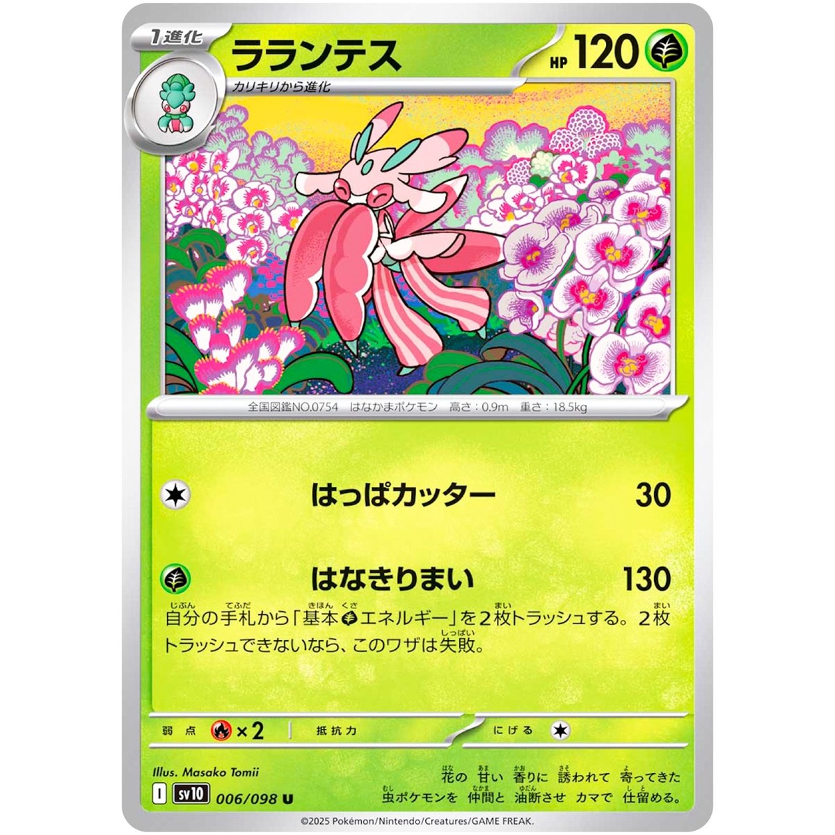 RAREFORM（レアフォーム） DAYLIGHT THRUSTER 5'6 RAREFORM（レアフォーム） DAYLIGHT THRUSTER 5'6 楽天市場】RAREFORM