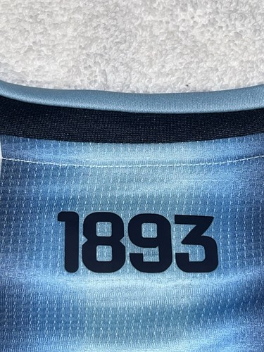 Adidas Authentic Argentina 2026 World Cup 3 Star Home Jersey Messi # 10 NWT L - Picture 8 of 9