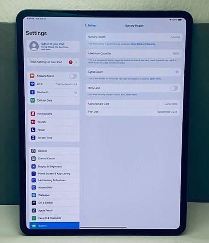 Apple iPad Pro 13 pulgadas (M4) A2926 256 GB, Wi-Fi + 5G, 13 pulgadas - Negro espacial - Imagen 8 de 14