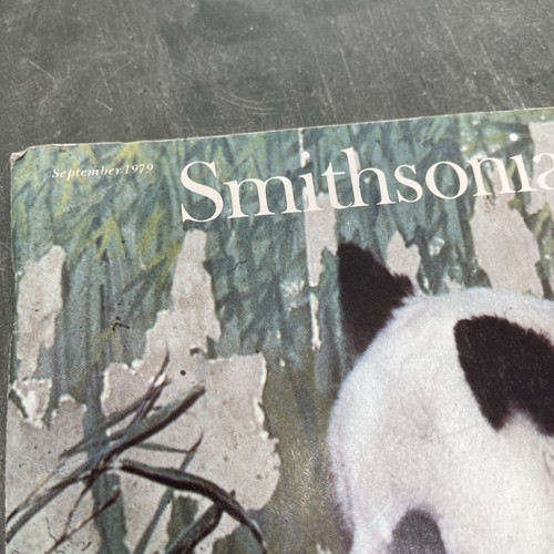 Smithsonian - 1st Panda Artificial Insemination; Tamerlane; Edison (Sep 1979) - Imagen 2 de 11