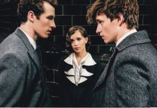CALLUM TURNER signed Autogramm 20x30cm BEASTS POTTER in Person autograph COA