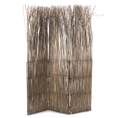 WEIDEN PARAVENT ''NATURE'' | Weide, Grau, 160x120 cm | Raumteiler, Raumtrenner    
