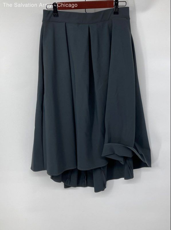 Marie Saint Pierre Womens Gray Pleated Front Casual A-Line Skirt No Size