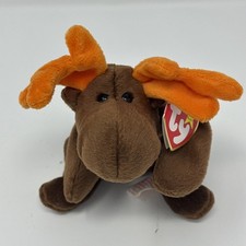 TY Beanie Baby Chocolate the Moose RARE, Retired
