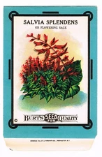 VINTAGE CARD SEED PACKET FLOWERS C1910 BURT SALVIA  SPLENDENS FLOWERING SAGE