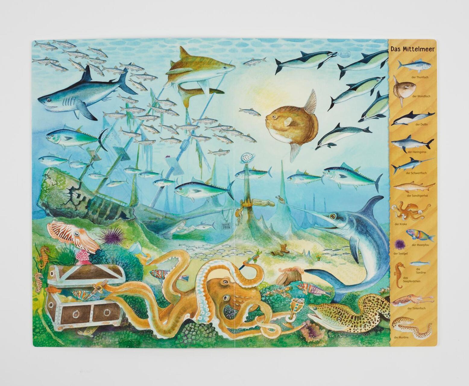 Thumbnail - Riesen-wimmelbuch: Das Riesen-meer-wimmelbuch Christine Henkel
