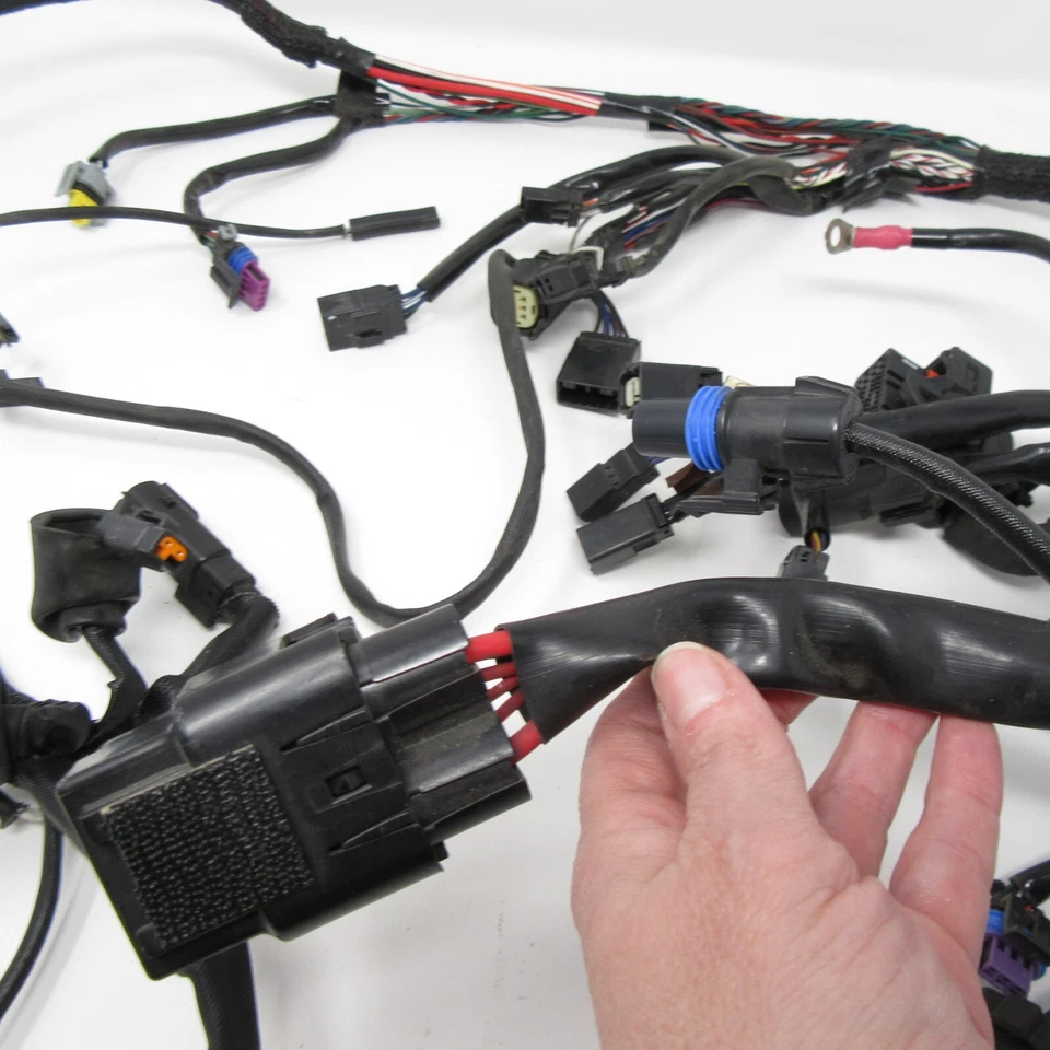 Harley-Davidson Sportster XL1200C 2015 arnés de cableado principal OEM Foto 4 de 4