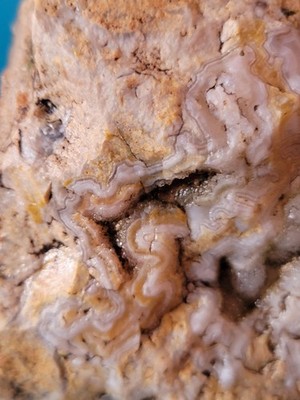INTRICATE Banded Agate Specimen 1 Pound 1 Ounce WYOMING Display Stand INCLUDED!